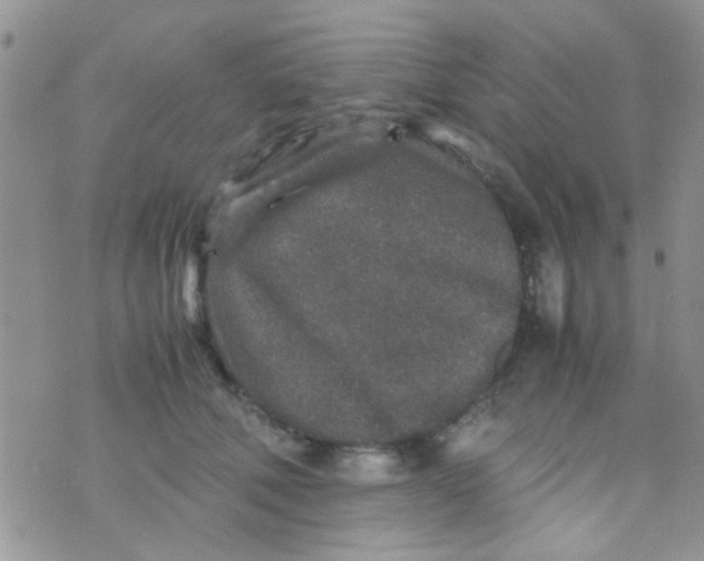 X0000070410610200606302038