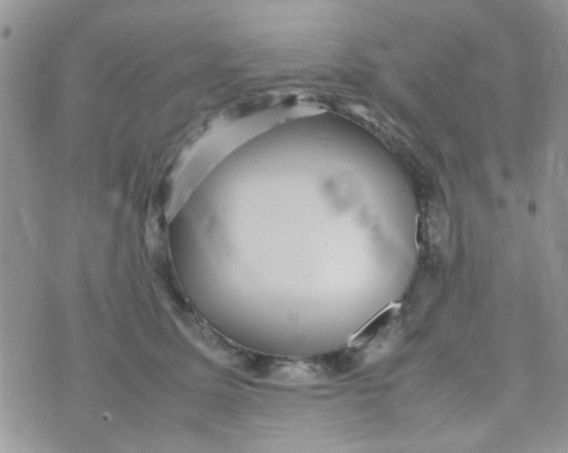 X0000070410611200606302038