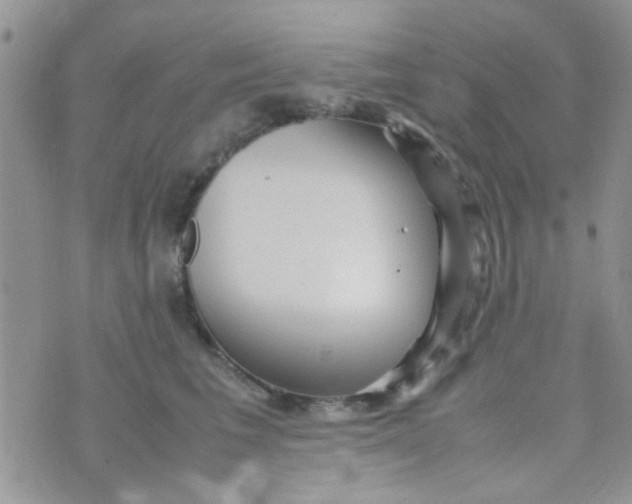 X0000070410613200606302038