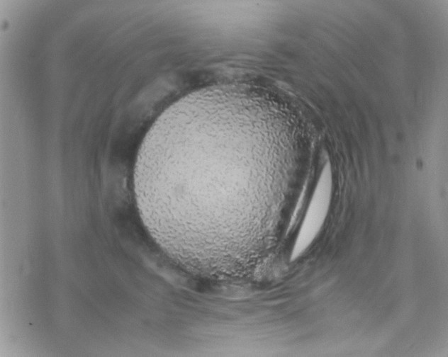 X0000070410615200606302038