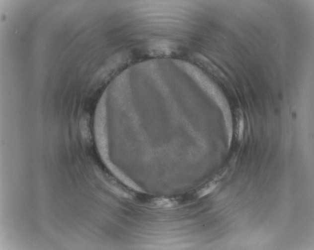 X0000070410616200606302038