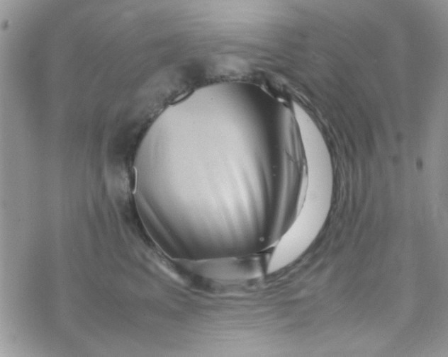 X0000070410617200606302038