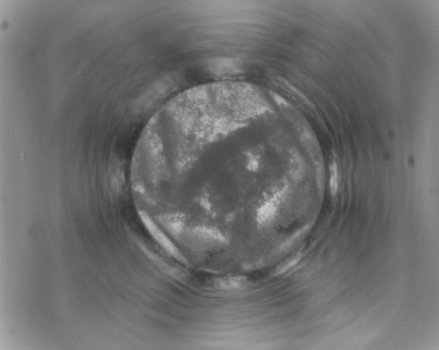 X0000070410618200606302038