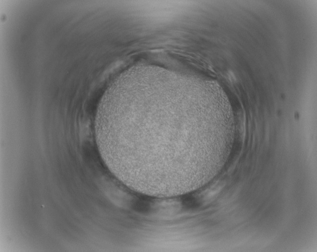 X0000070410619200606302038