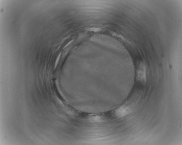 X0000070410620200606302038