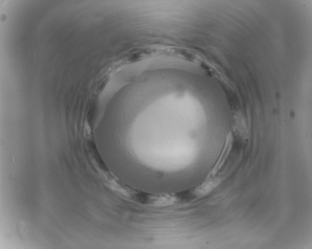 X0000070410621200606302038