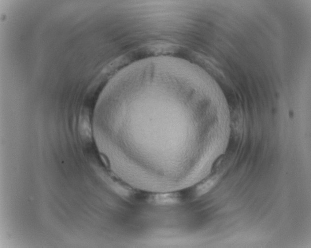 X0000070410622200606302038