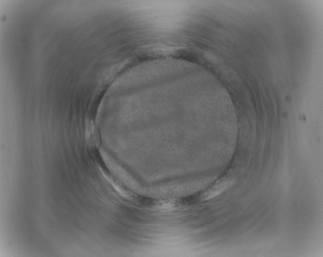 X0000070410624200606302038