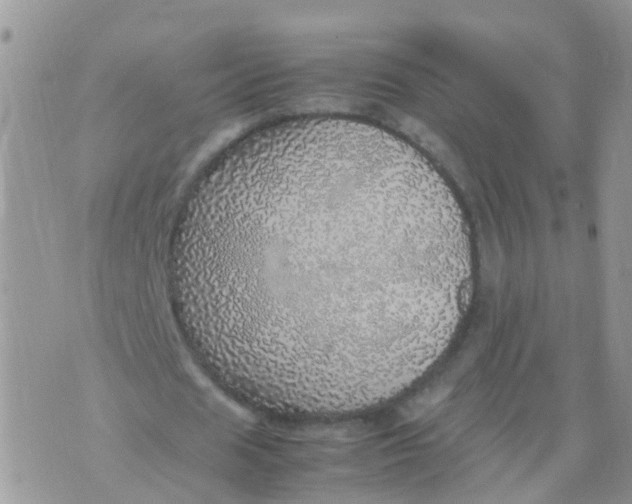 X0000070410625200606302037