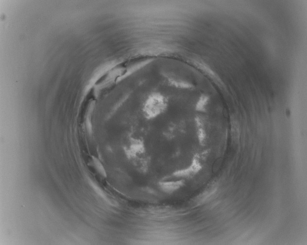 X0000070410626200606302037