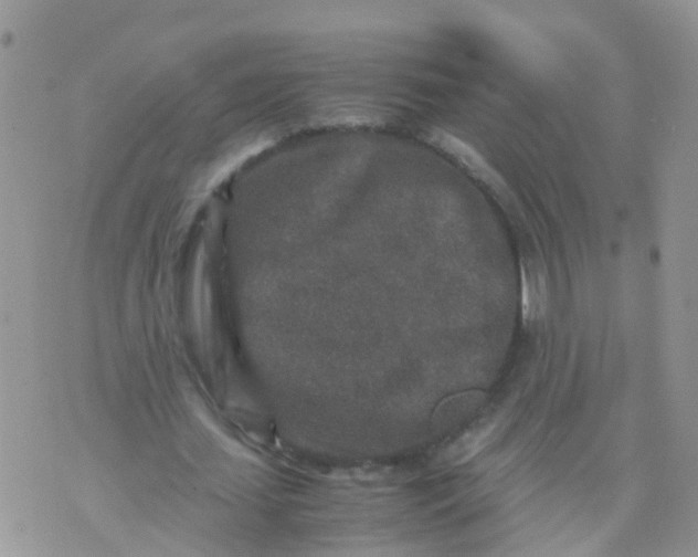 X0000070410627200606302037