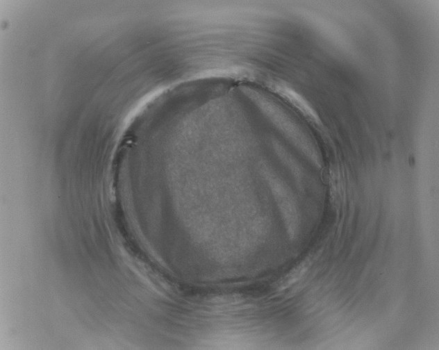 X0000070410628200606302037