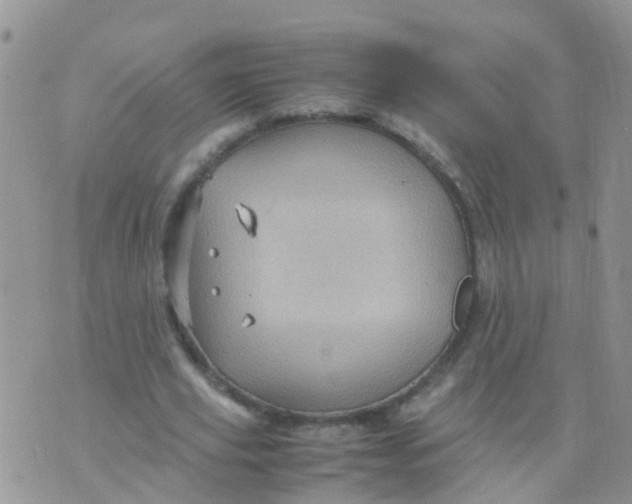 X0000070410629200606302037