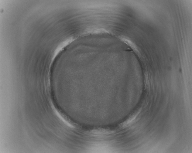 X0000070410630200606302037