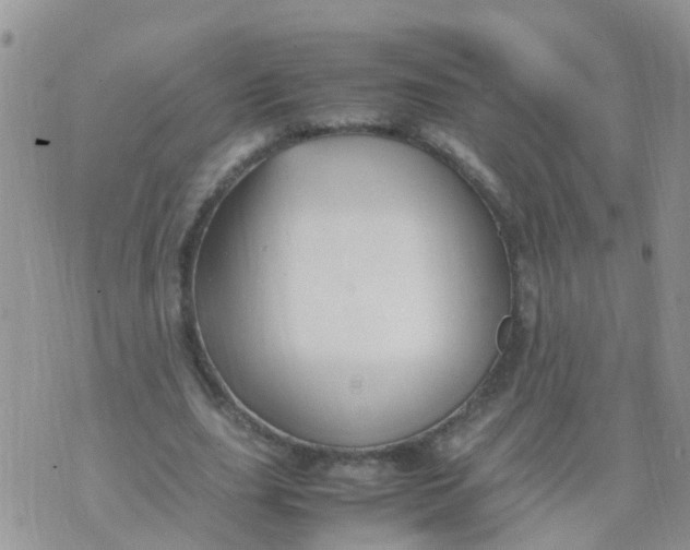 X0000070410631200606302037