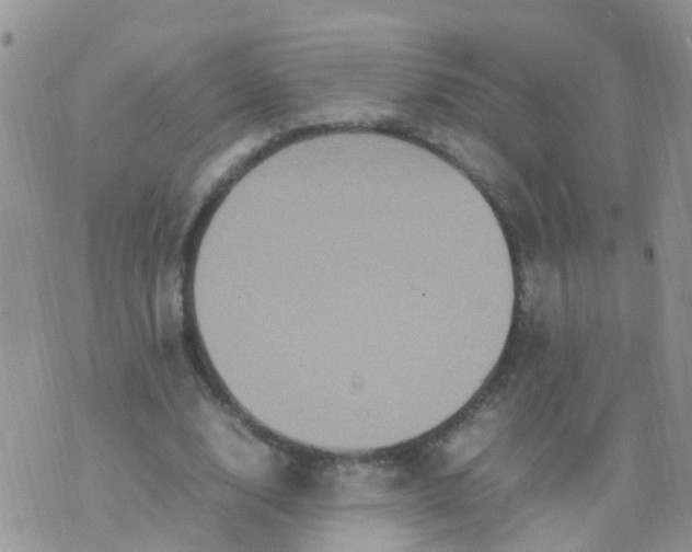 X0000070410632200606302037