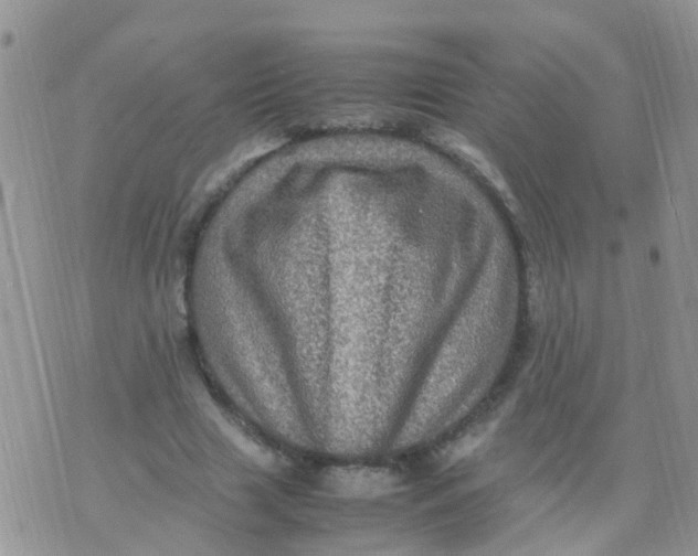 X0000070410633200606302037