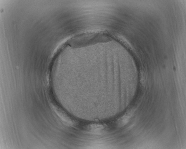 X0000070410636200606302037