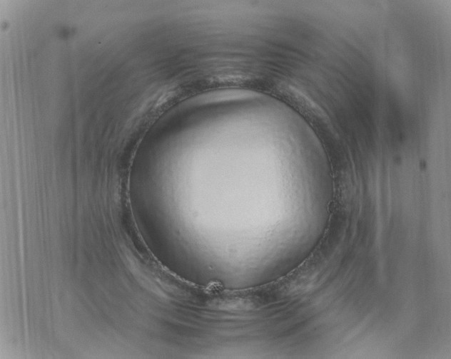 X0000070410639200606302037