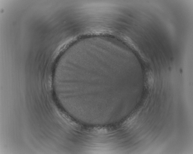 X0000070410640200606302037