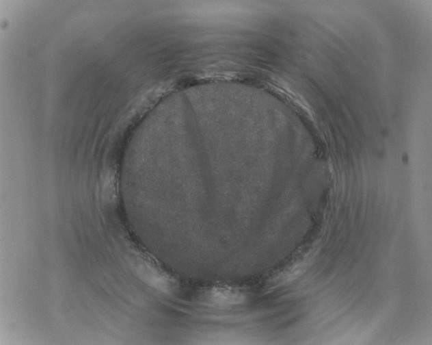 X0000070410641200606302037