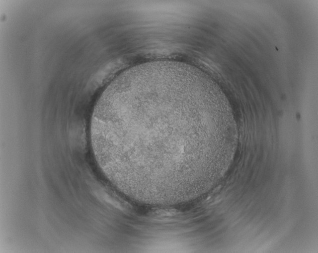 X0000070410642200606302037