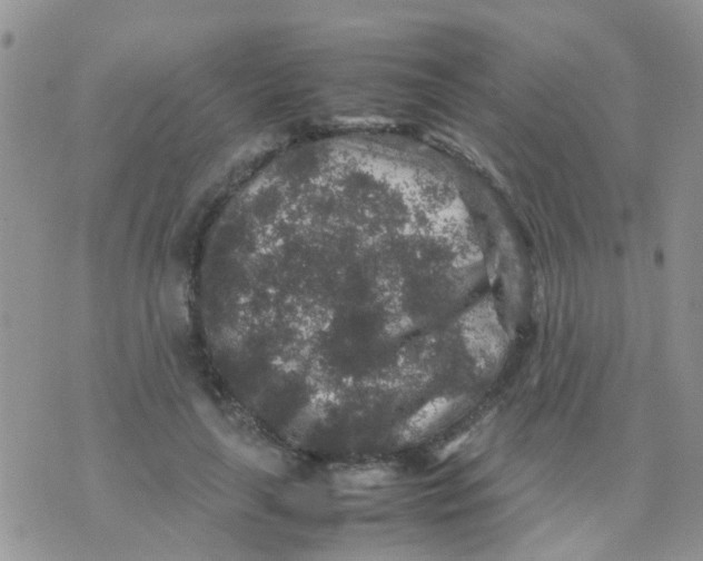 X0000070410643200606302037