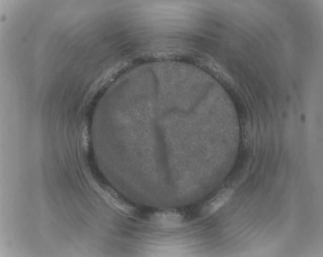 X0000070410644200606302037