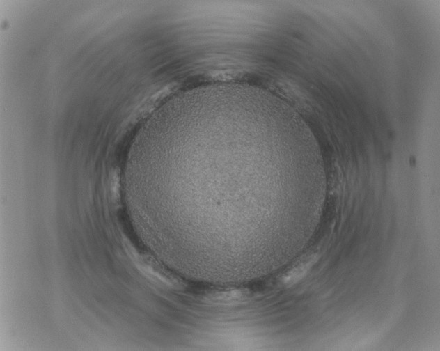 X0000070410646200606302037