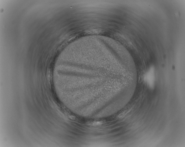 X0000070410647200606302037