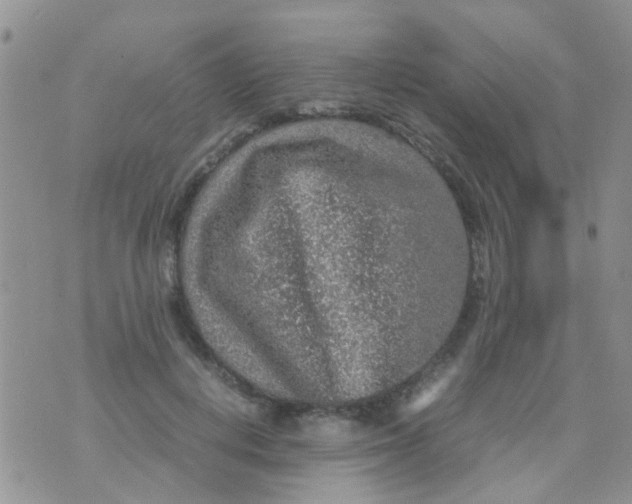 X0000070410648200606302037