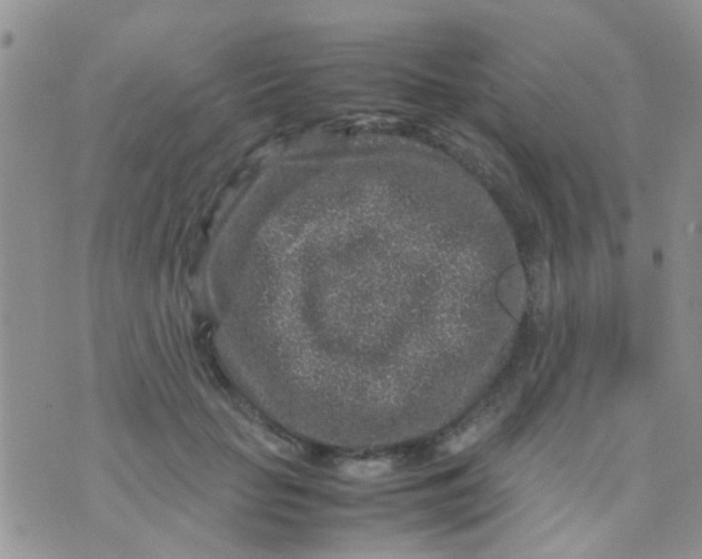 X0000070410653200606302037