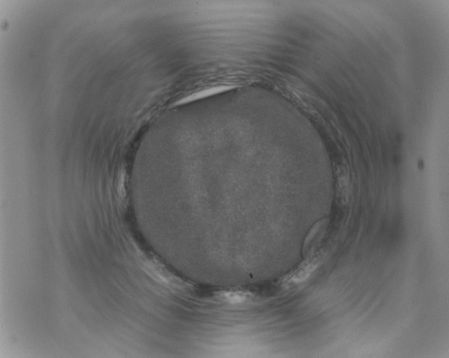 X0000070410654200606302037