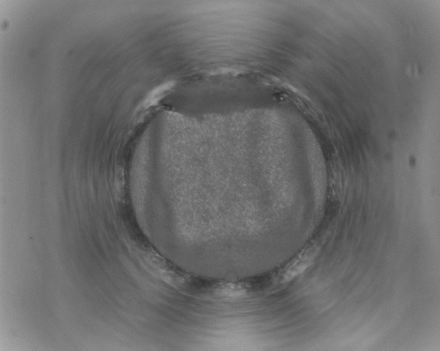 X0000070410656200606302037