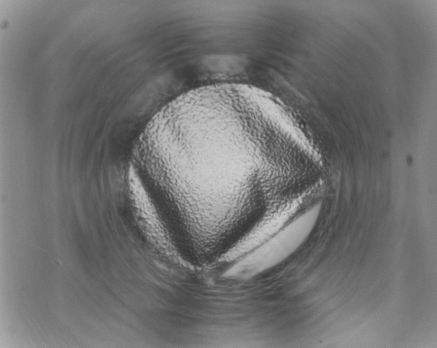 X0000070410657200606302037