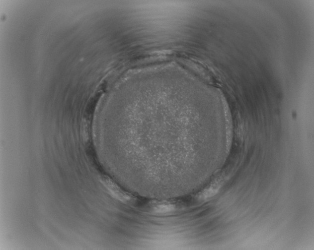 X0000070410658200606302037