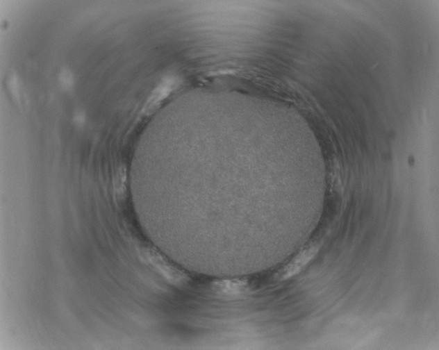 X0000070410660200606302037