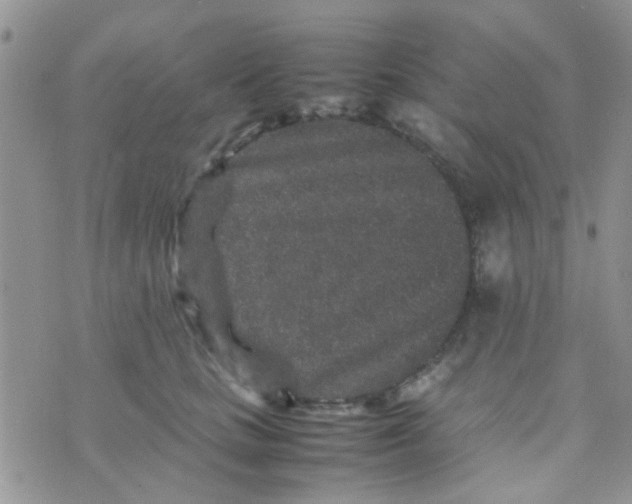 X0000070410661200606302037