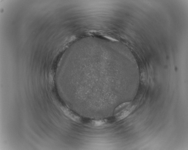 X0000070410662200606302037