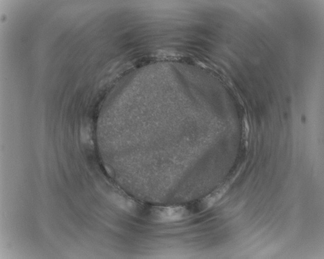 X0000070410663200606302037