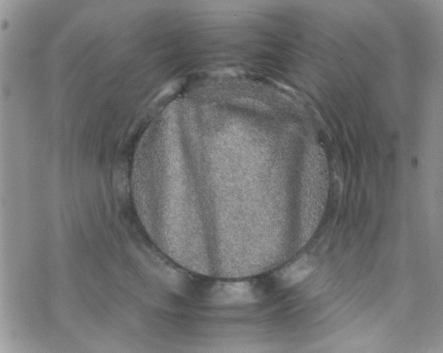 X0000070410665200606302038