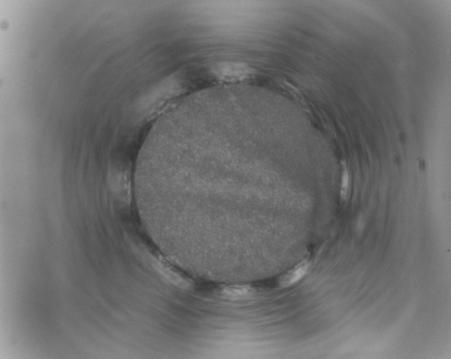 X0000070410666200606302038