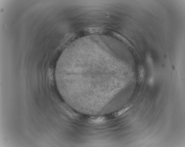 X0000070410667200606302038