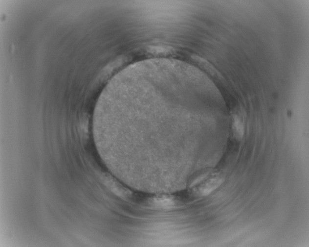 X0000070410668200606302038