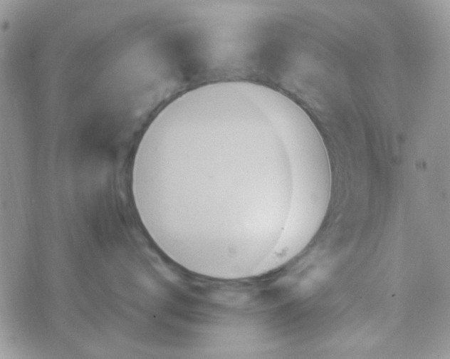 X0000070410672200606302038