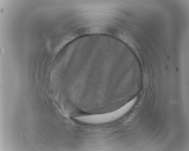 X0000070410673200606302037