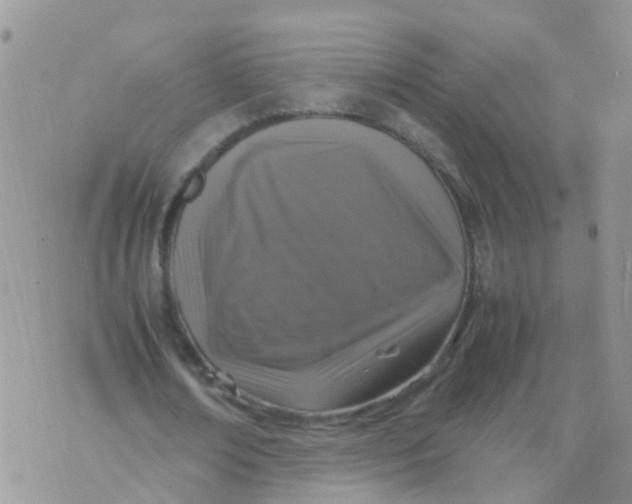 X0000070410674200606302037