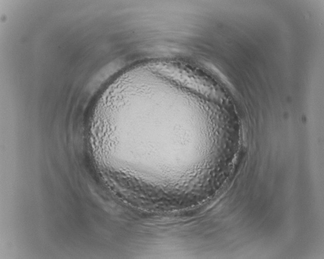 X0000070410675200606302037