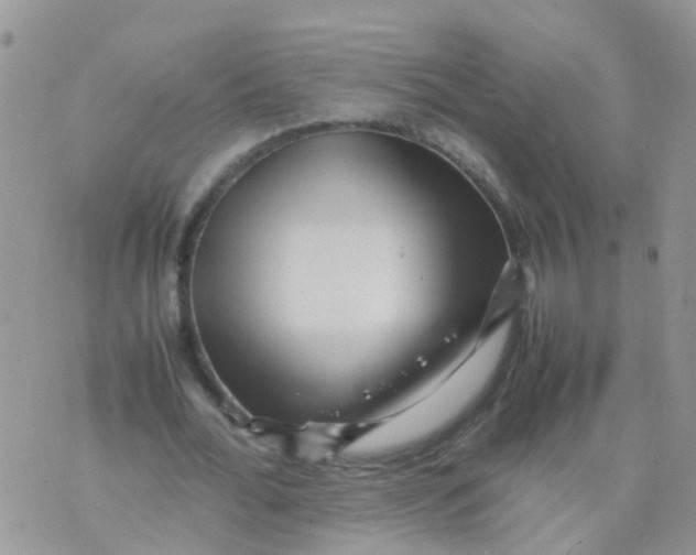 X0000070410676200606302037