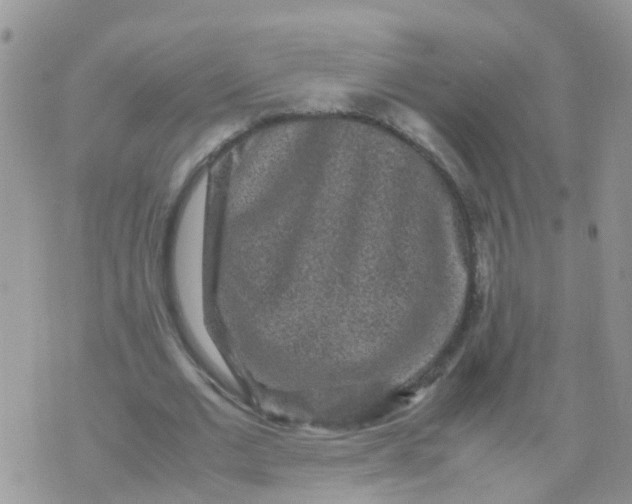 X0000070410677200606302037